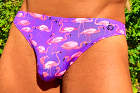 Bikini Pink Flamingos 